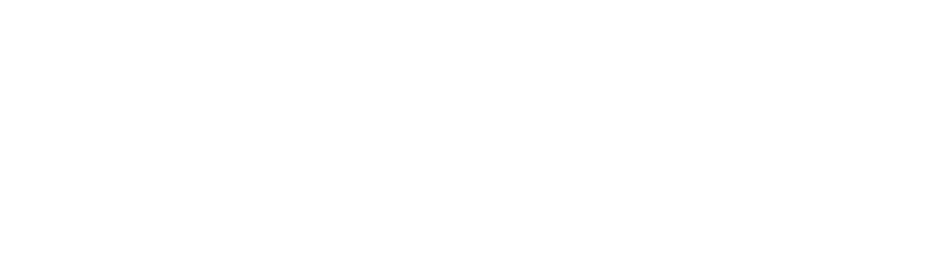 AuriClean
